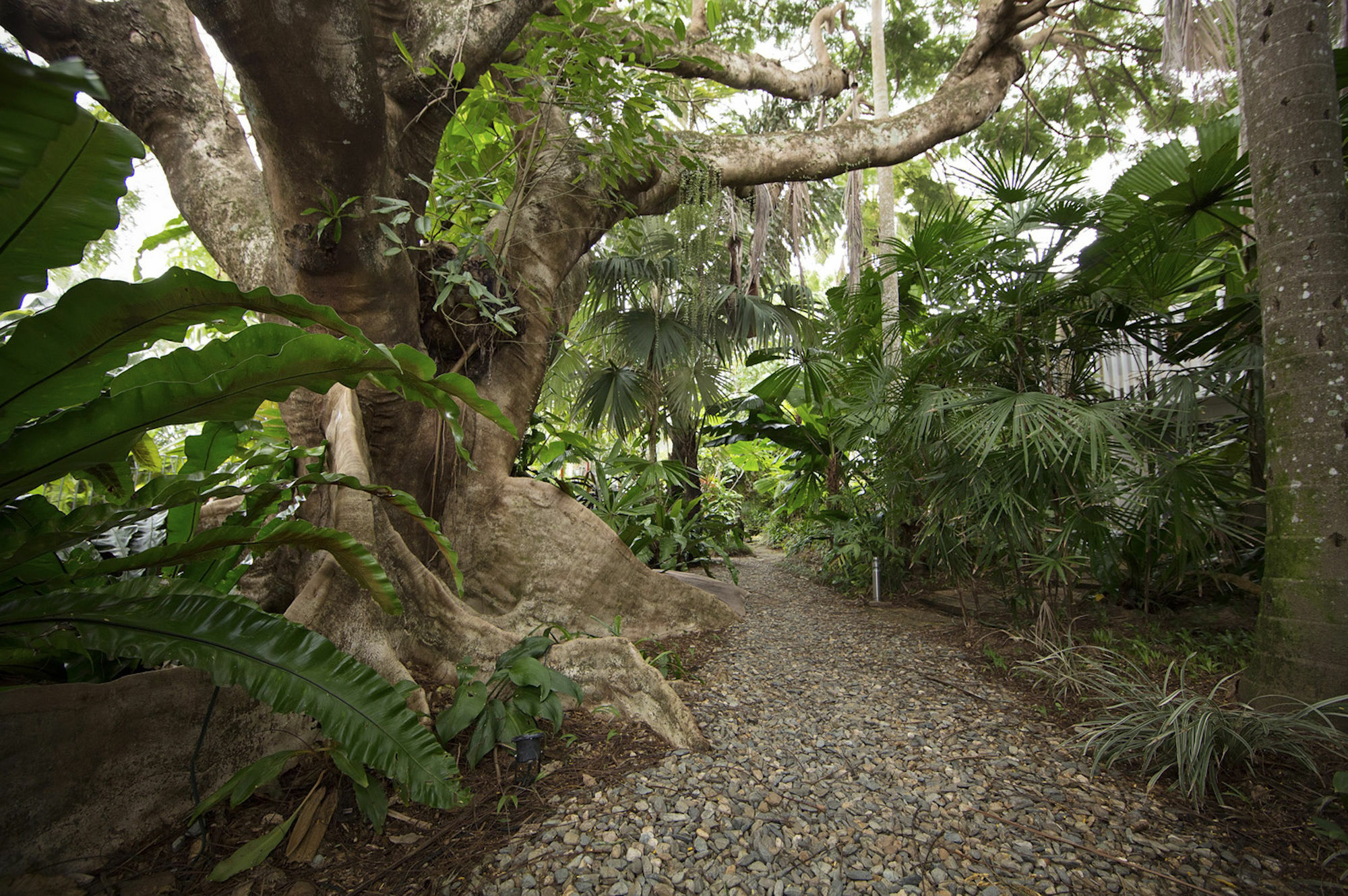 Castaways resort y Spa Mission Beach Exterior foto